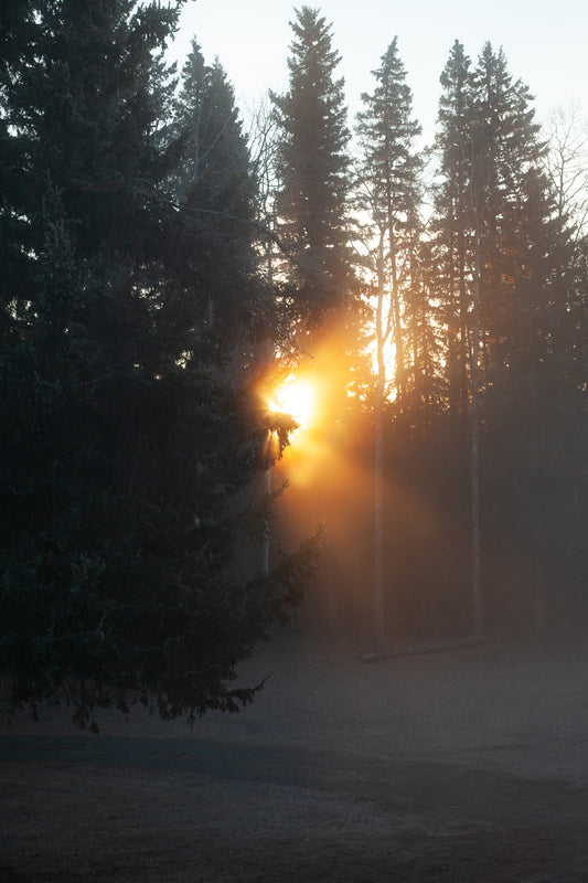 Bright Sun Rays