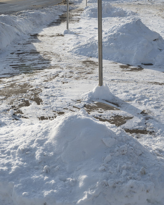 Crescent Heights, Calgary