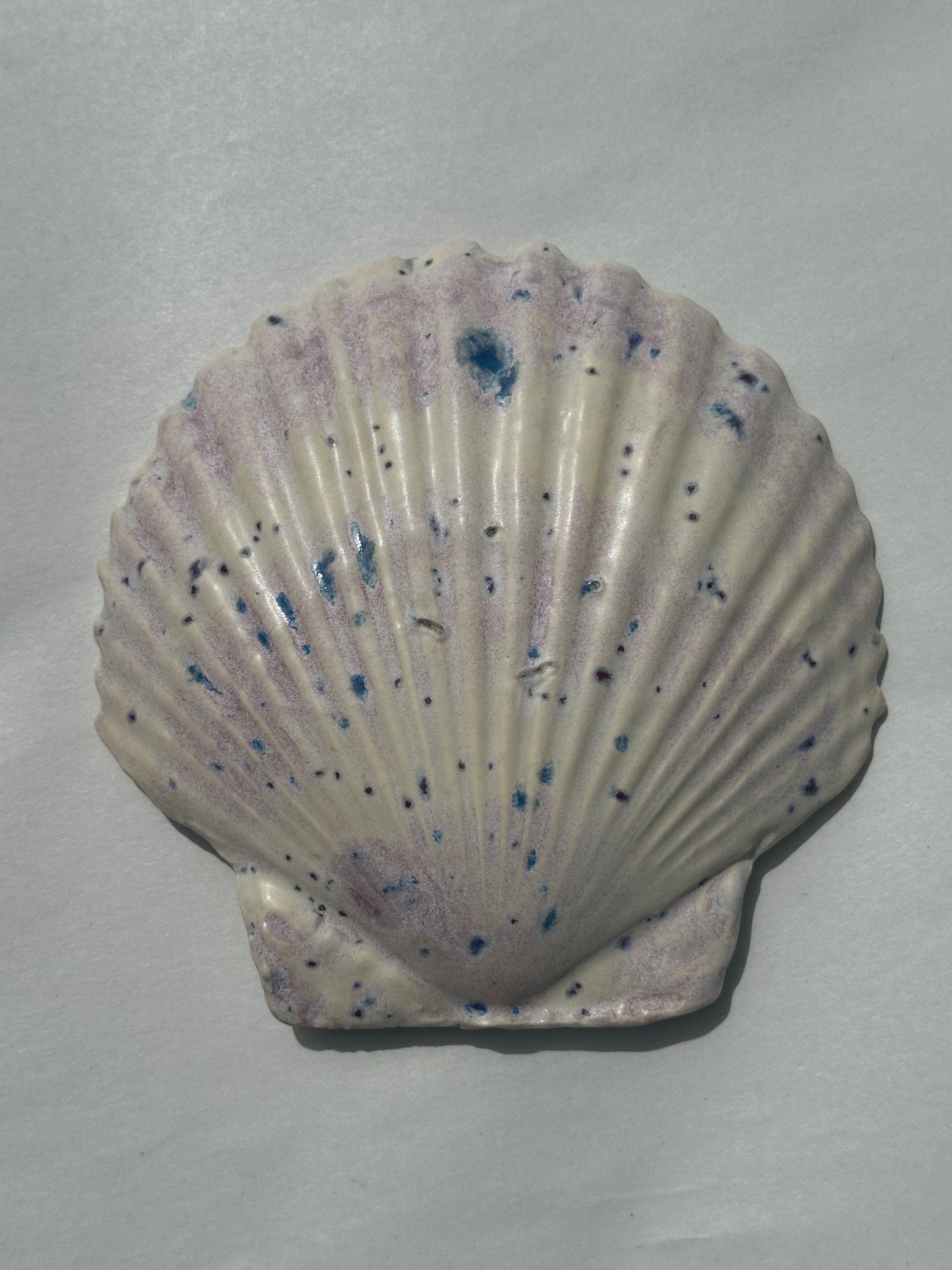 Can - Shell Plate