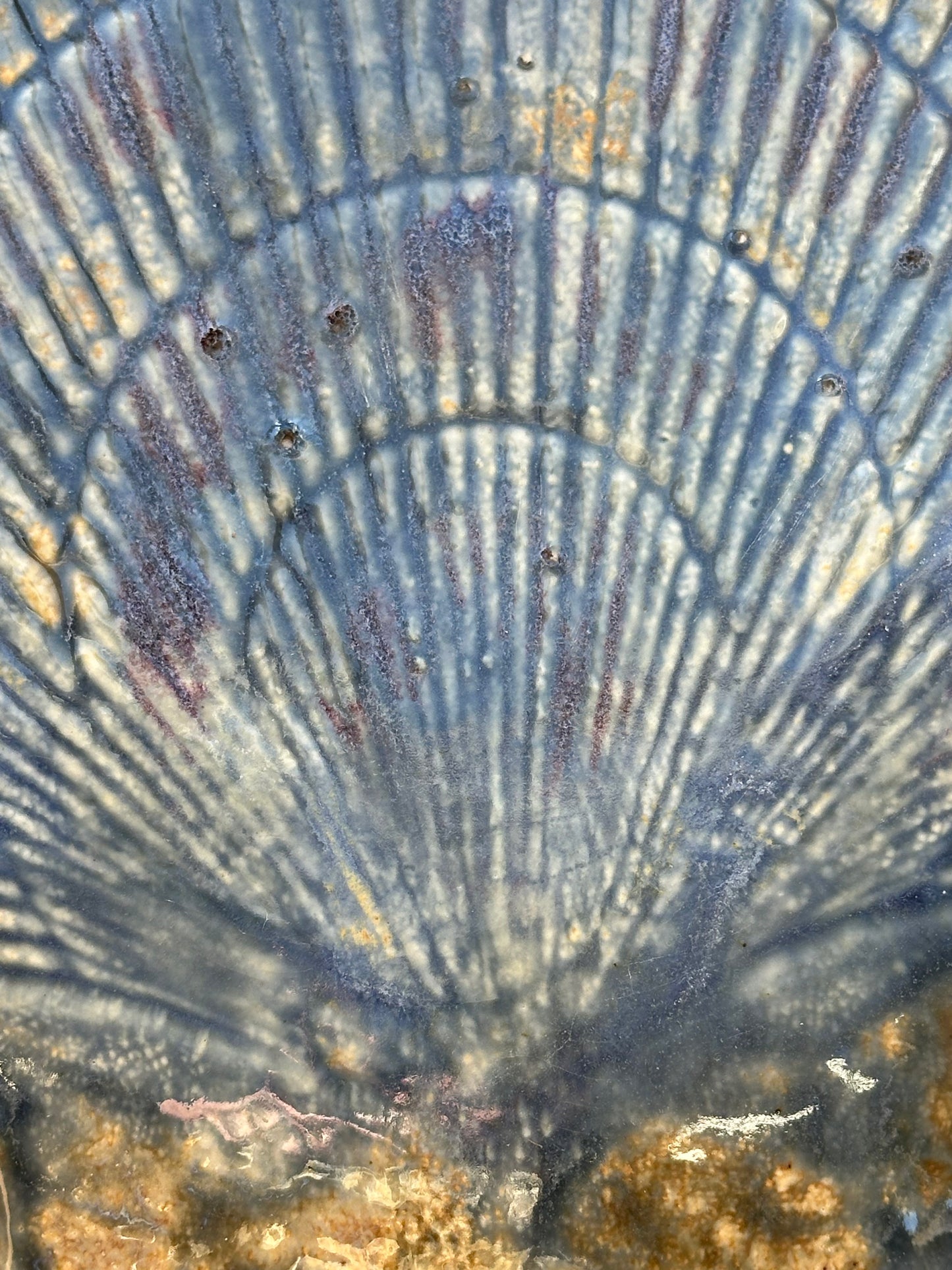 The Eldest Daughter - Shell Plate