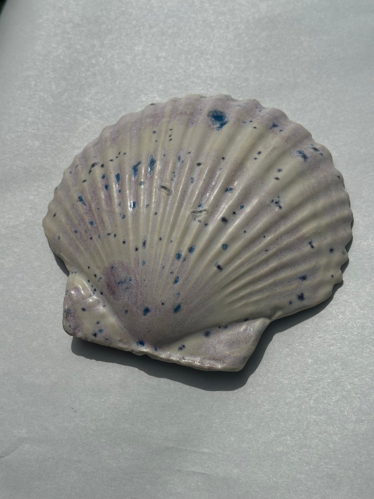 Can - Shell Plate