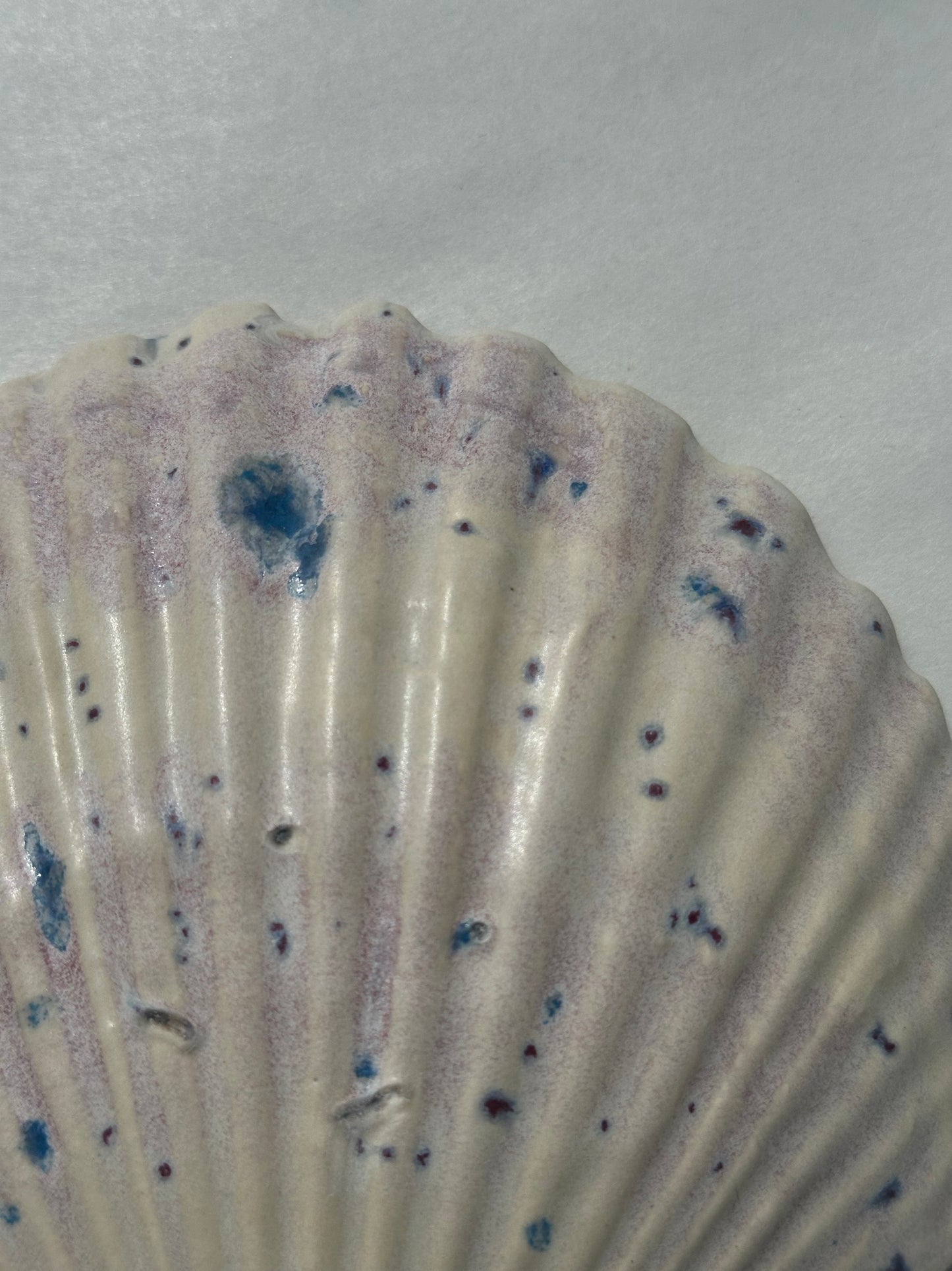Can - Shell Plate