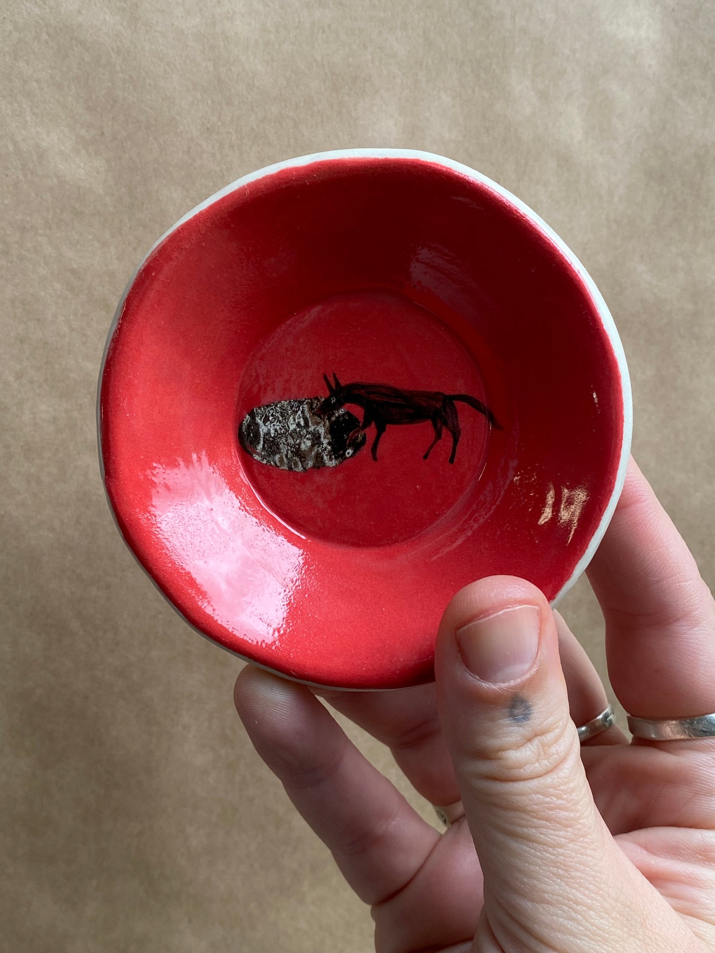 Infinity Pool - Dish