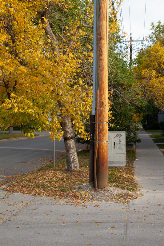 Crescent Heights, Calgary