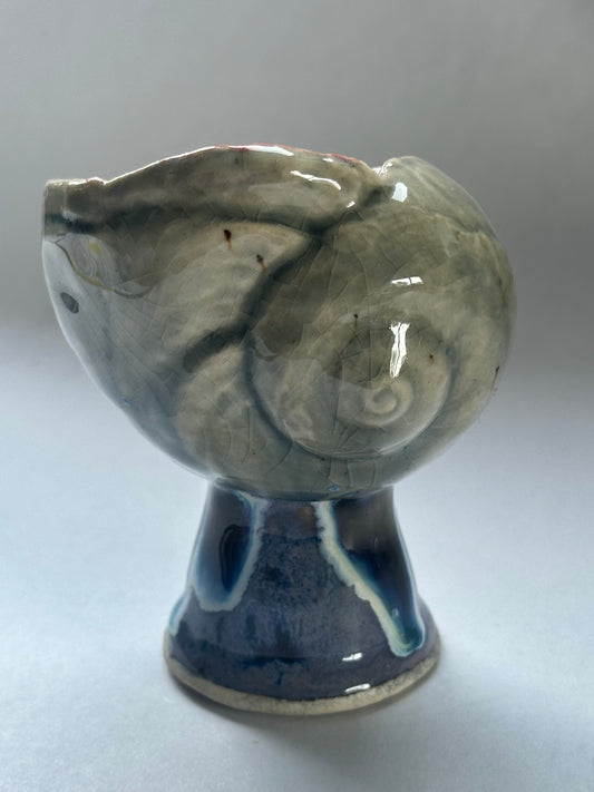 Shell Vessel