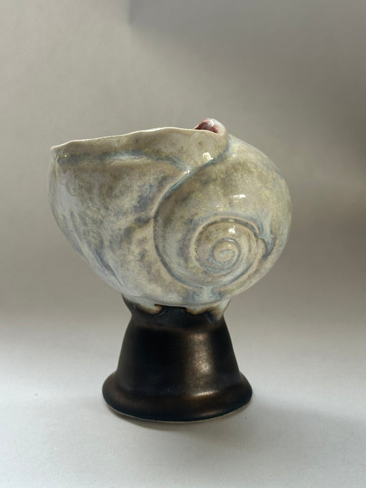 Shell Vessel