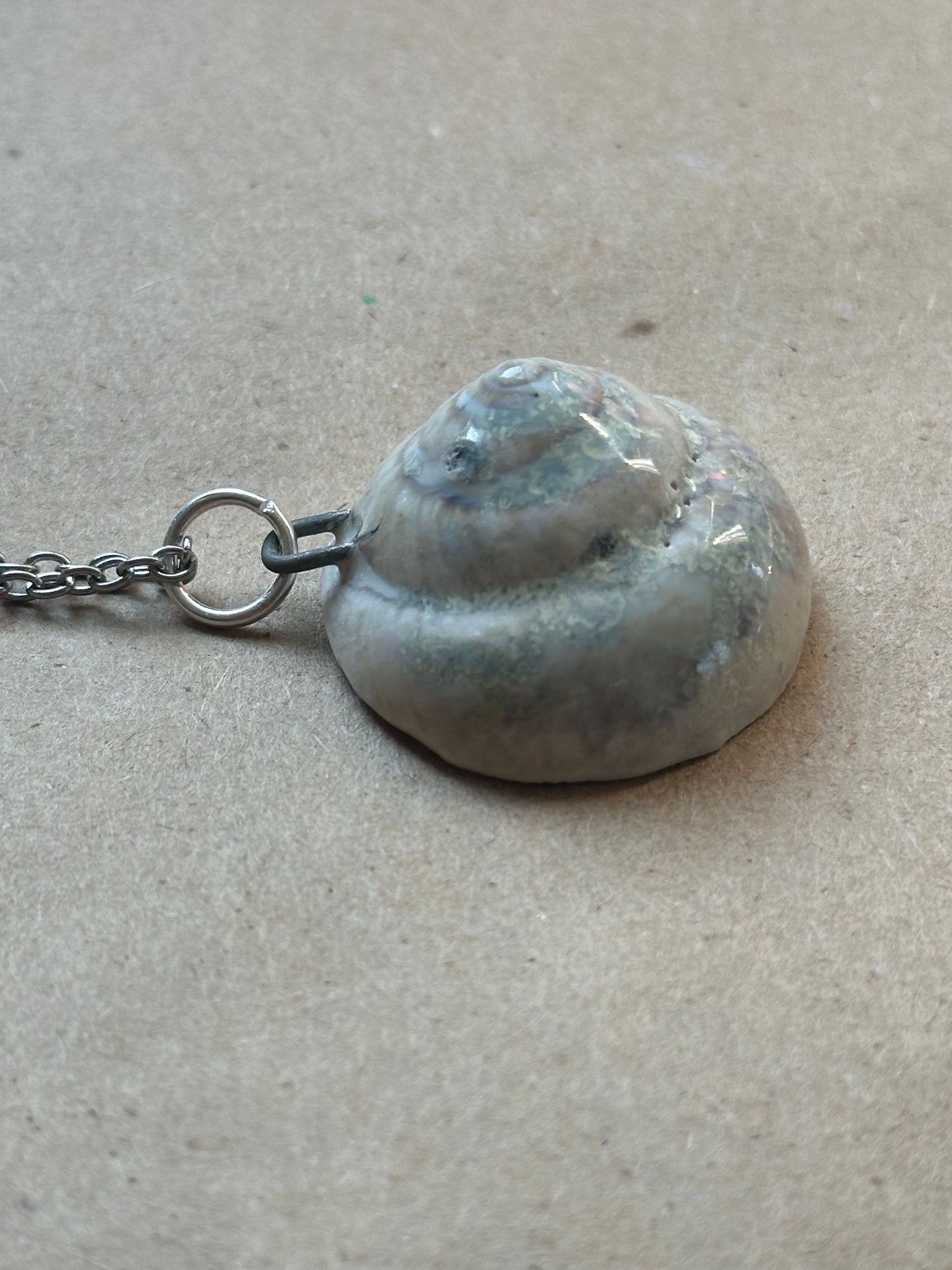 Wolf Shelter Shell - Necklace