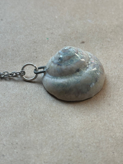 Wolf Shelter Shell - Necklace