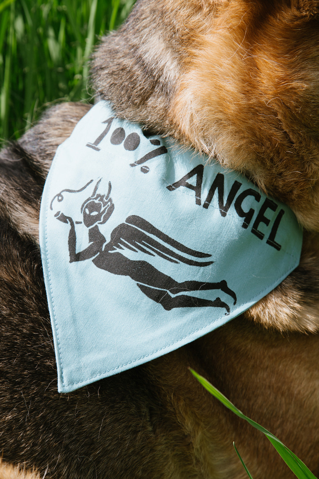 100% Angel - Bandana - Witches Meadow