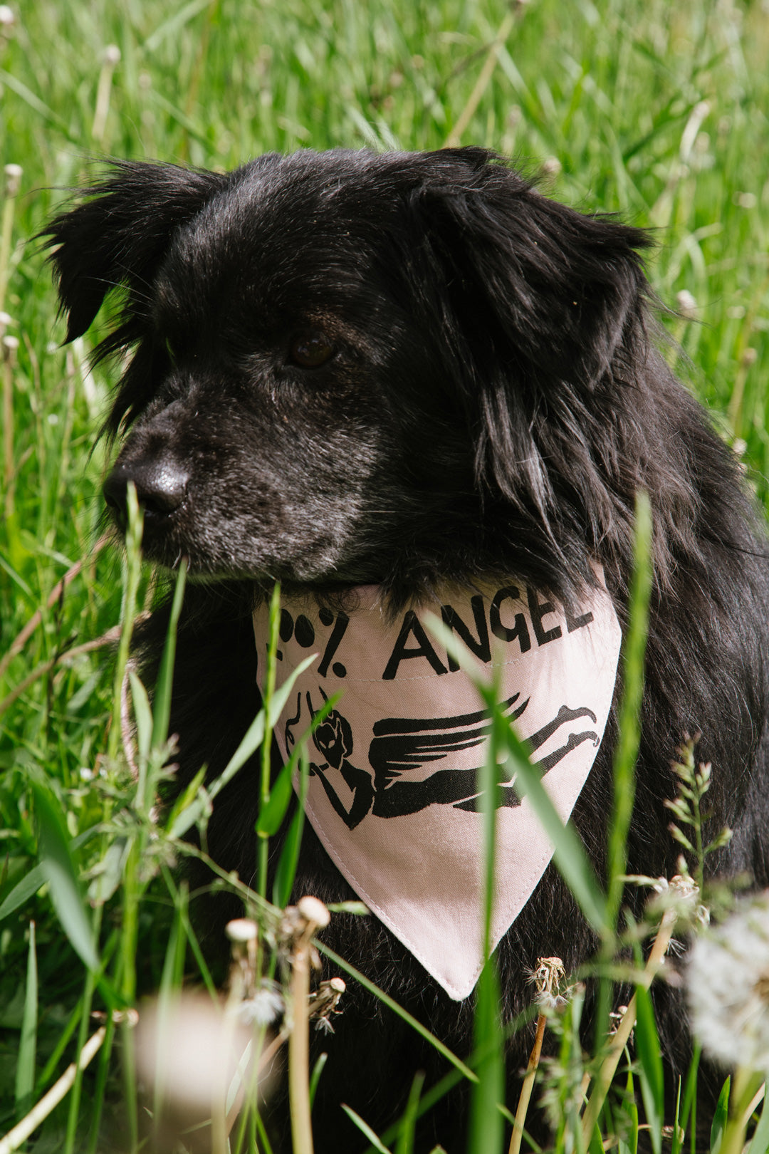 100% Angel - Bandana -Conch Pink