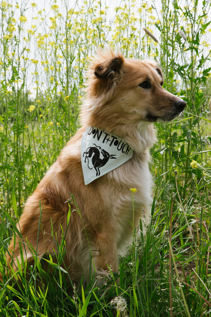 Don’t Touch - Bandana - Witches Meadow