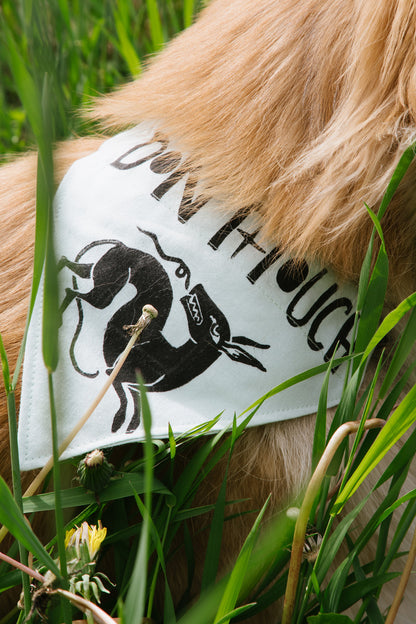 Don’t Touch - Bandana - Witches Meadow