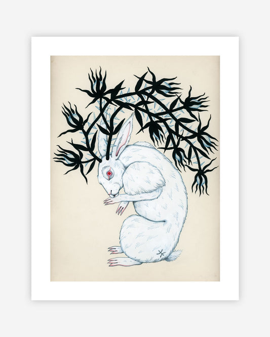 Ingrown Hare - Print